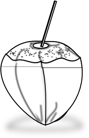Food Coconut Icon Coconut Icon Black White Line Art - Coconut White Png Clipart (555x555), Png Download