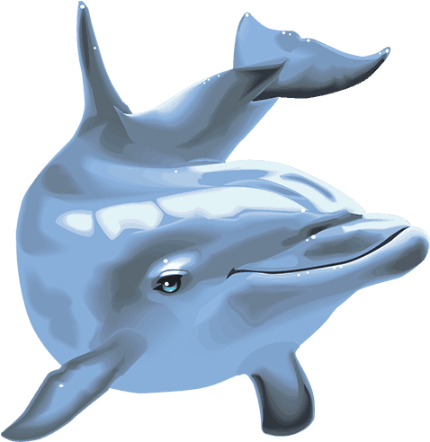 Dolphin´s Pearl™ Deluxe - Common Bottlenose Dolphin Clipart (700x700), Png Download