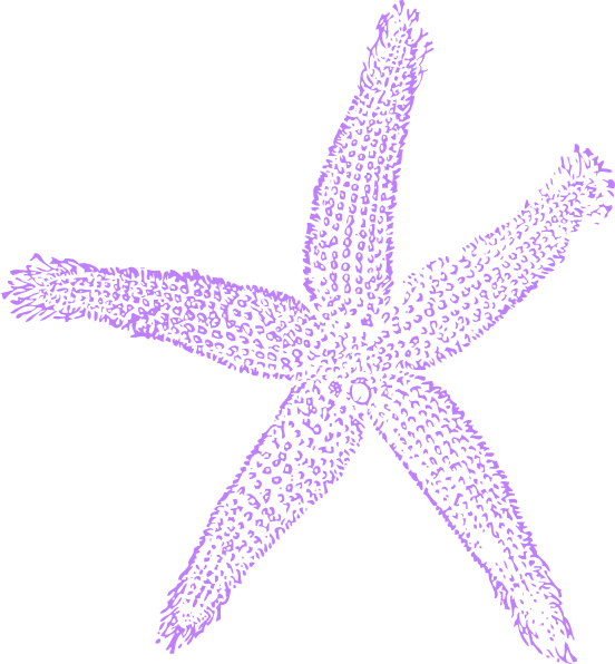 Lavender Clipart Starfish - Blue Sea Shell Clip Art - Png Download (552x596), Png Download