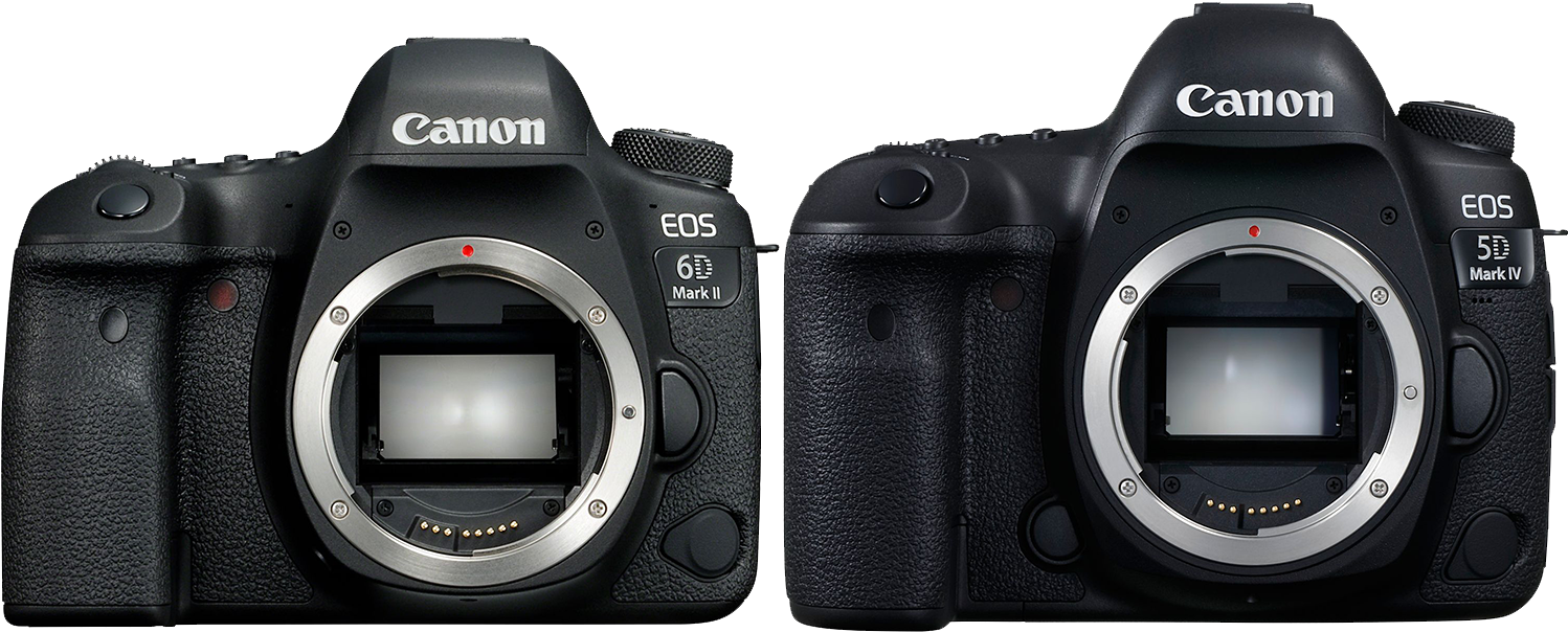 5d Iv Vs 6d Ii - Canon 80d Vs 6d Mark Ii Clipart (1500x669), Png Download