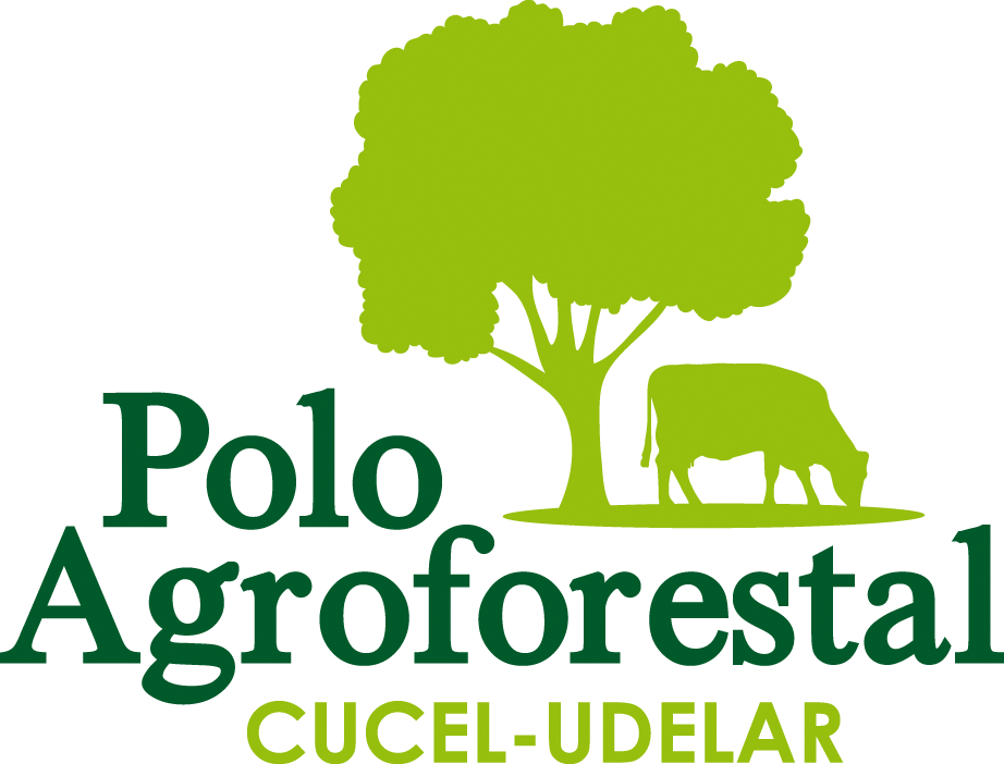 Http - //www - Poloagroforestal - Edu - Uy/wp Polo Clipart (922x702), Png Download