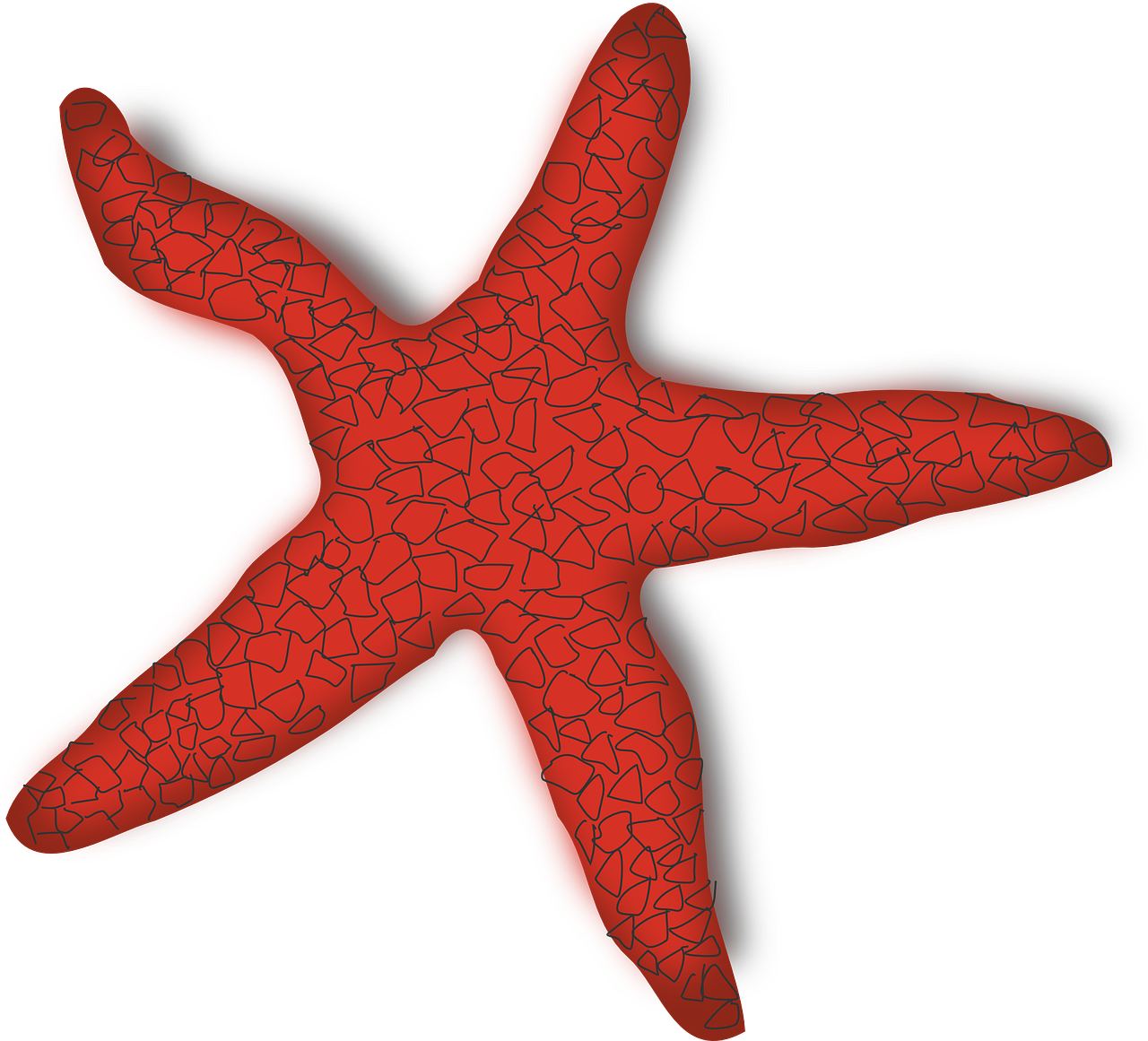 Vector Graphics,free Pictures, Free - Starfish Clip Art - Png Download (1280x1161), Png Download