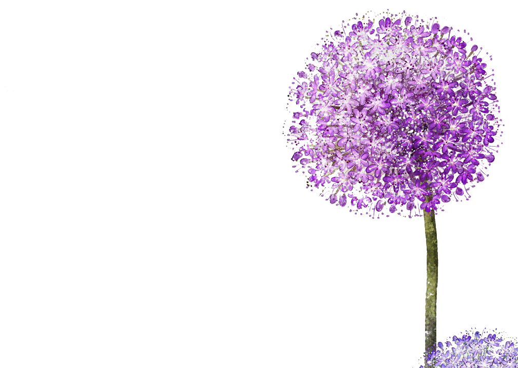 Dandelion Transparent Purple - Diente De Leon Lila Clipart (1754x1240), Png Download