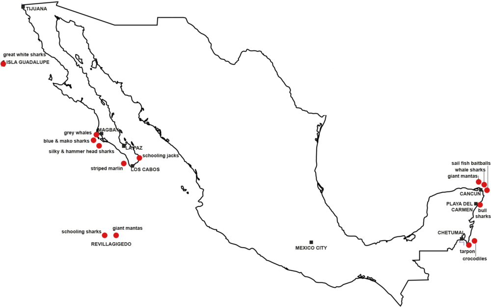 Mapa De Especies Pelágicas En México - Map Clipart (1000x653), Png Download