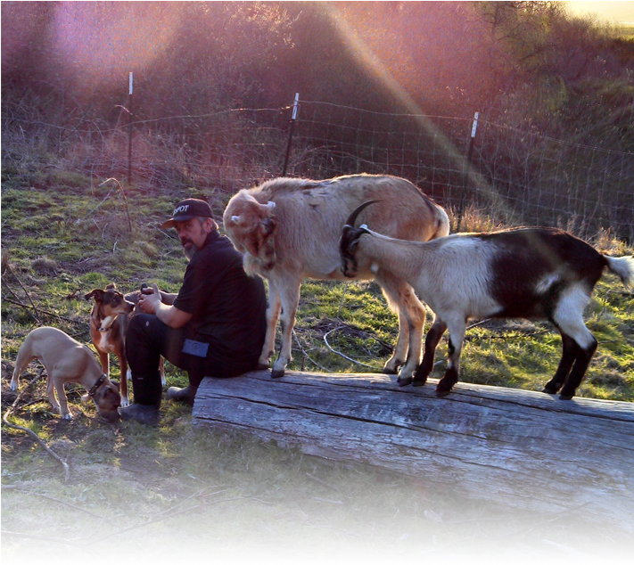 About Animal Farming - Family With Farm Animals Clipart (710x645), Png Download