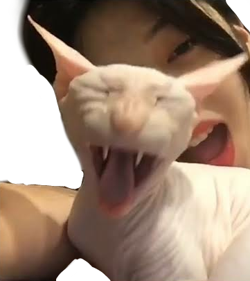 Sulli Sticker - Minskin Clipart (361x405), Png Download