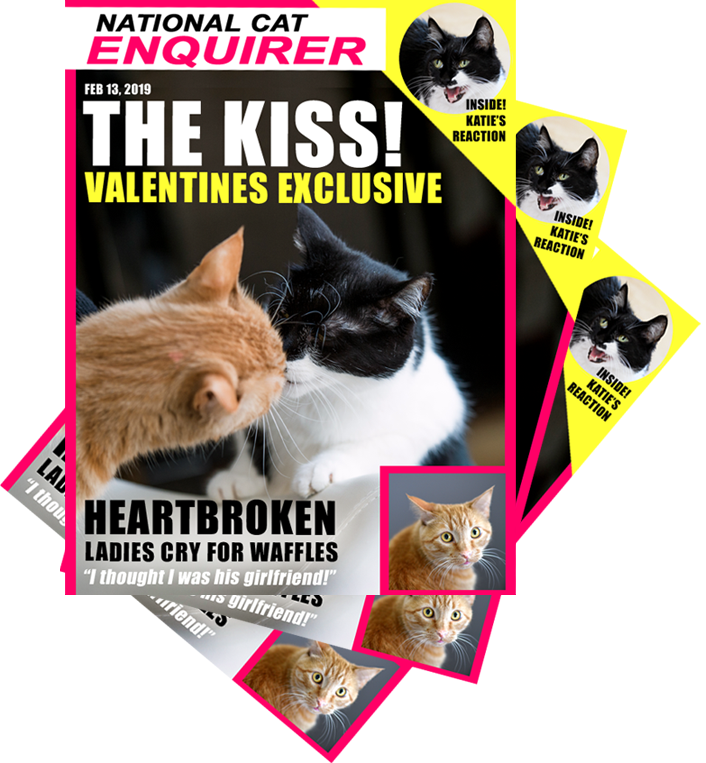 Always Go To The Gym Clipart (706x763), Png Download