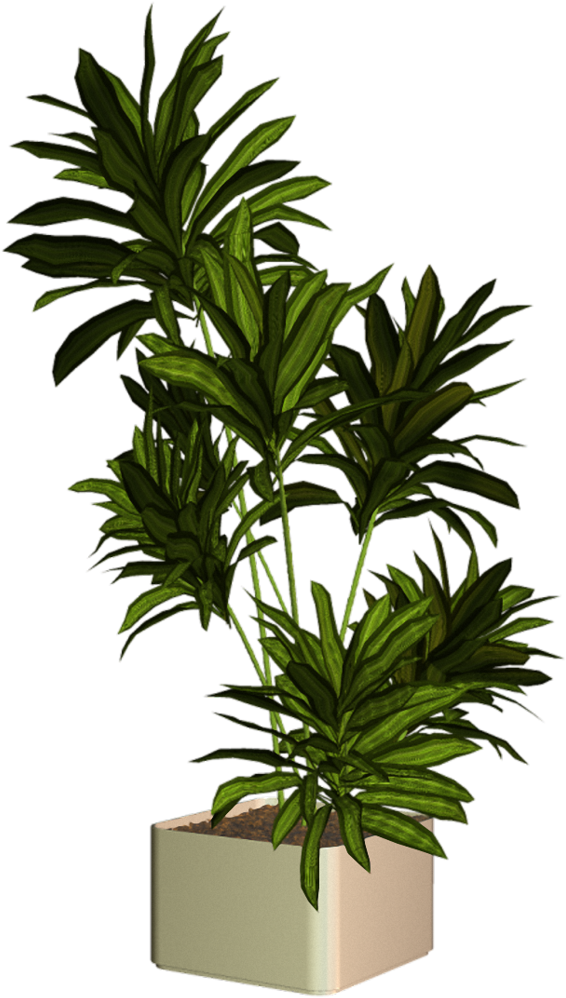 Plantas Png Para Photoshop Plantas Render Png Clipart Large Size Png Image Pikpng