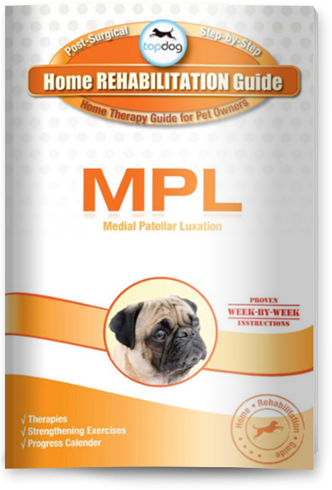 Download Mpl Guide - Pug Clipart (481x685), Png Download