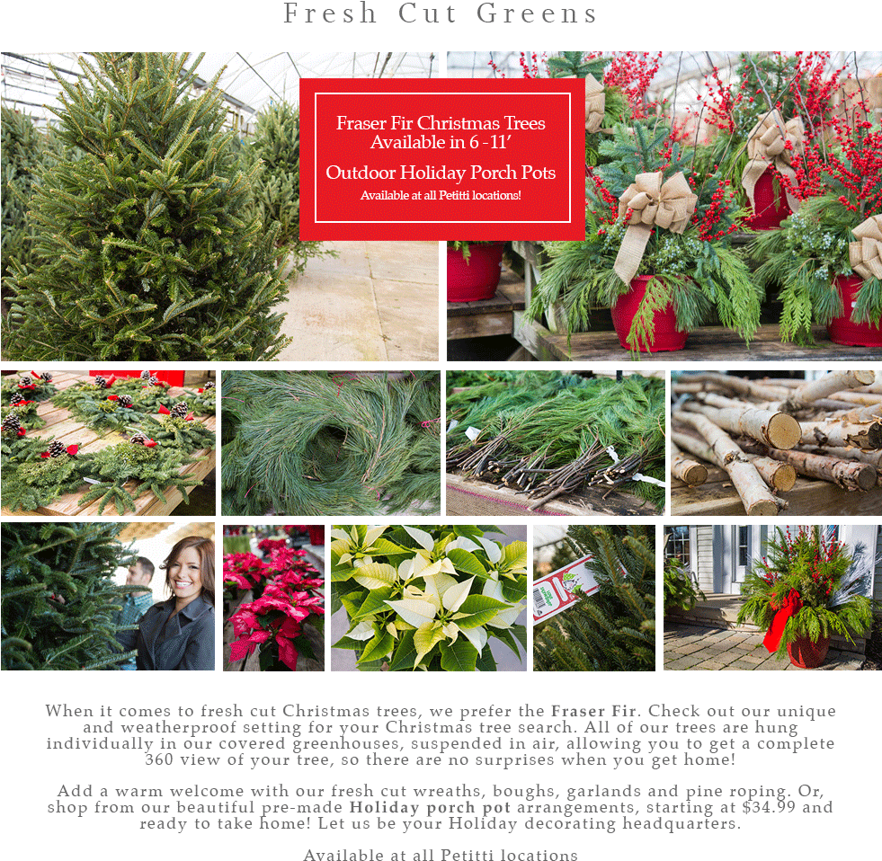 Menu - Christmas Tree Clipart (980x1002), Png Download