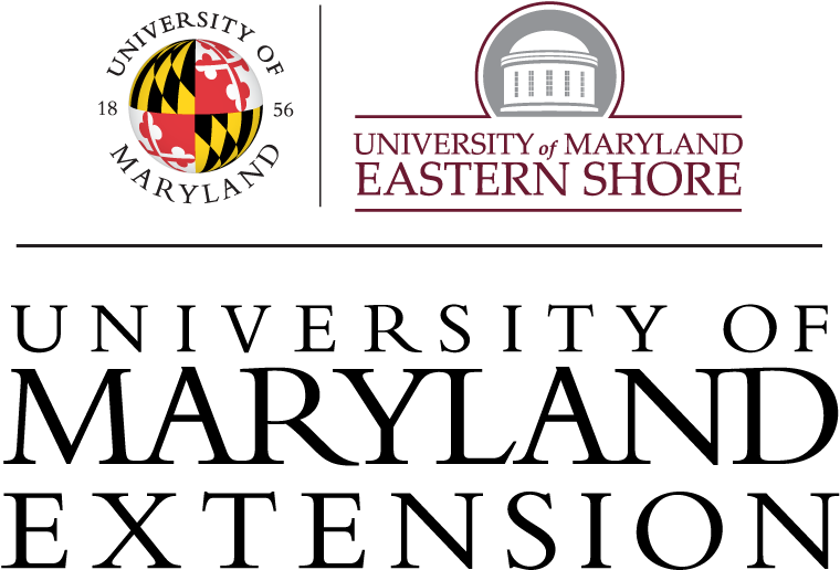University Of Maryland Extension Logo - University Of Maryland Extension Clipart (1013x846), Png Download