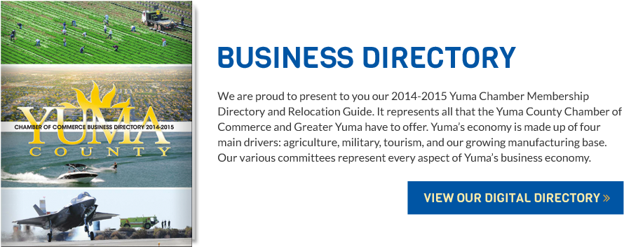 Directory - Artificial Turf Clipart (980x353), Png Download