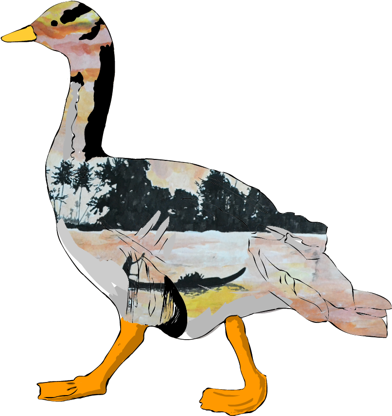 Bar Head Goose Sunset Overlay - Mallard Clipart (2212x1280), Png Download