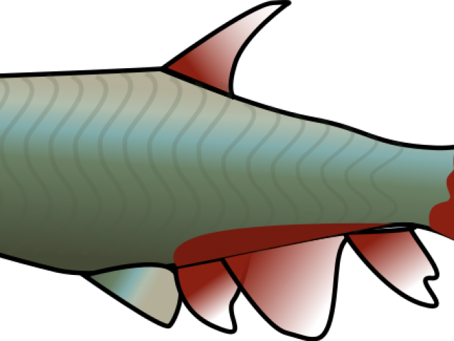 Clipart Wallpaper Blink - Tetra Fish Clipart - Png Download (640x480), Png Download