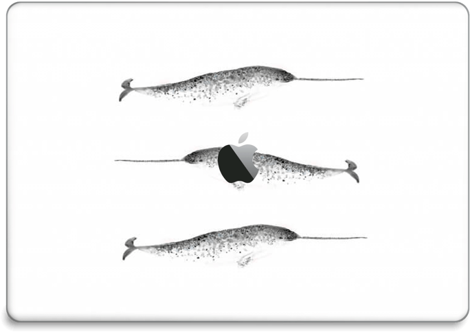 Narwhale Skin Macbook Pro 15” 2016- - Long Nose Gar Clipart (800x555), Png Download
