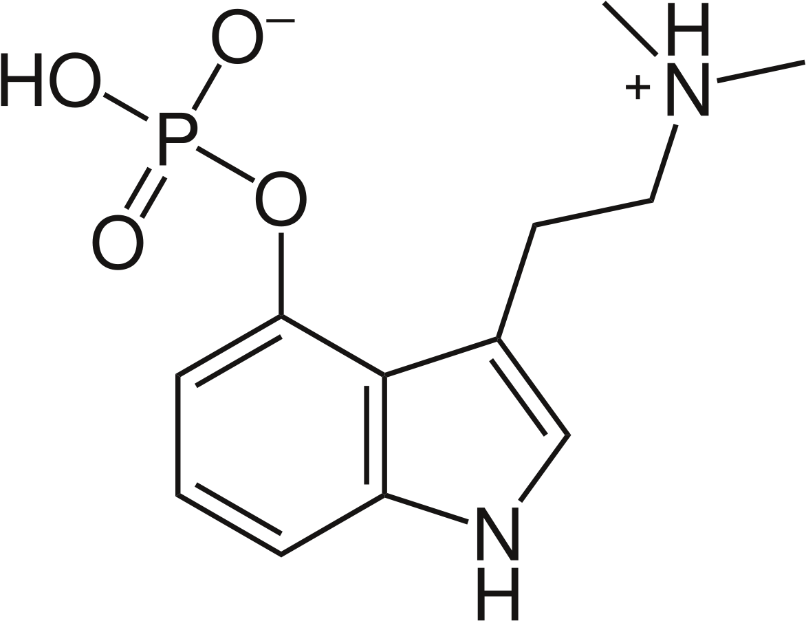Psilocybin Molecule Clipart (1200x924), Png Download