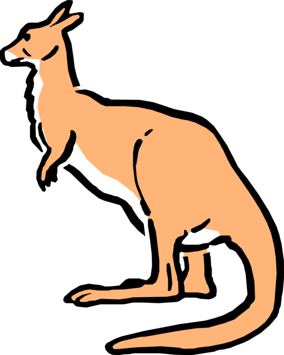 More In Same Style Group - Cartoon Kangaroo Clipart (560x700), Png Download