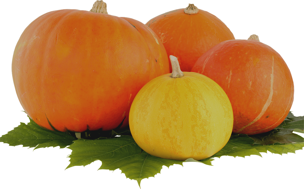 Pictures, Free - Pumpkin Clipart (1280x799), Png Download