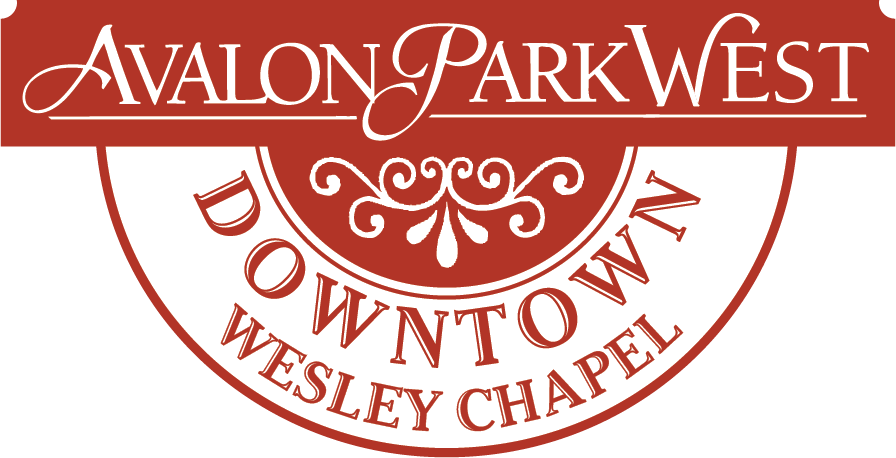 Circle Clipart (896x458), Png Download