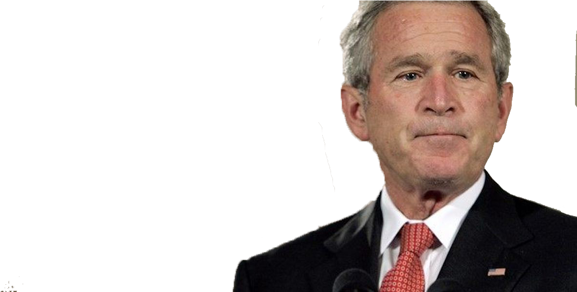 Bush Bring Clipart (1200x600), Png Download