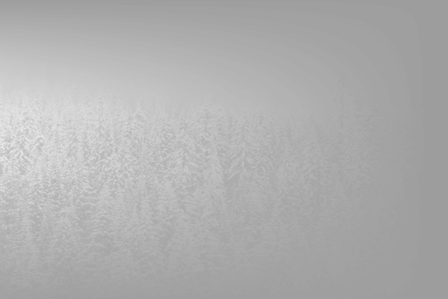 Snow Forest Trees Winter 1024×683 - Monochrome Clipart (1480x987), Png Download