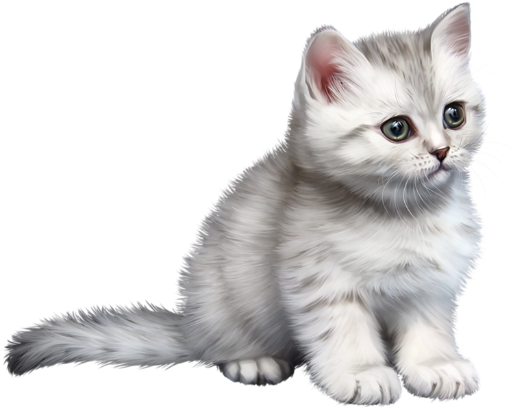 Lion Clip Ragdoll - Tube Chat - Png Download (800x753), Png Download