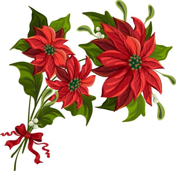 #christmas #poinsettia #poinsetta #terrieasterly - Vintage Christmas Flower Png Clipart (600x583), Png Download