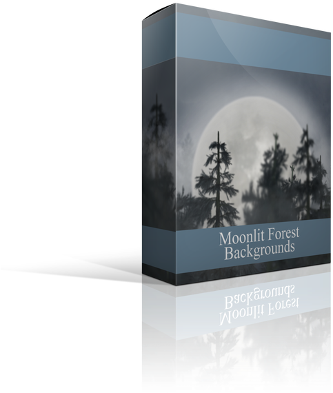 The Moonlit Forest Digital Backgrounds For Photographers - Christmas Tree Clipart (672x800), Png Download