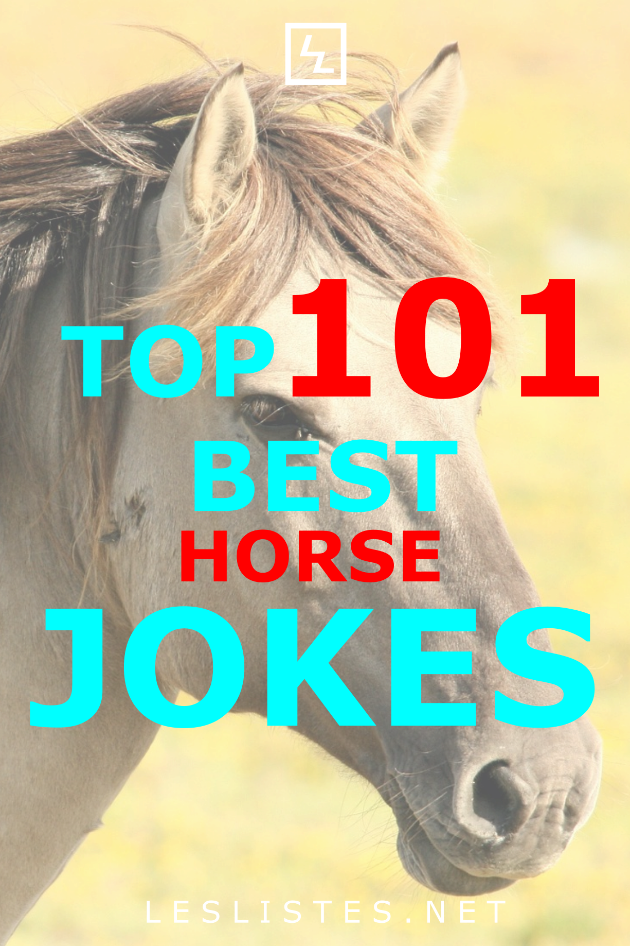 Do You Love Horses Do You Love Jokes Then Check Out - Mane Clipart (1225x1837), Png Download