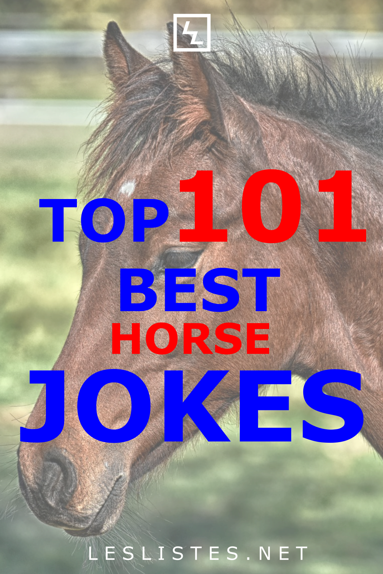 Do You Love Horses Do You Love Jokes Then Check Out - Mane Clipart (1225x1837), Png Download