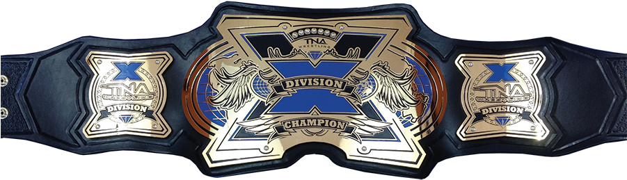 Engraved Wrestling Belt Plates - Titulo Division X Clipart (900x397), Png Download