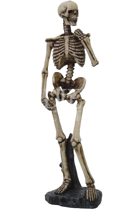Michelangelo David Skeleton , Png Download - Skeleton Nude Clipart (462x707), Png Download