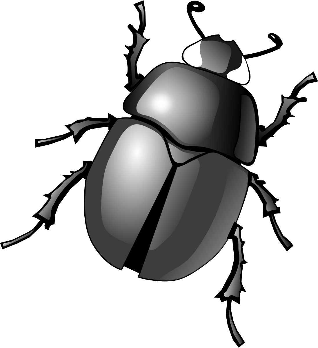 Dung Beetle Clip Art - Beetle Bug Clipart - Png Download (1097x1200), Png Download