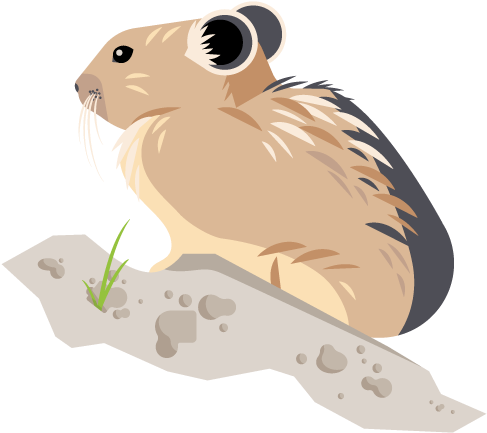 Yellowstone Pika Project - Hamster Clipart (600x600), Png Download