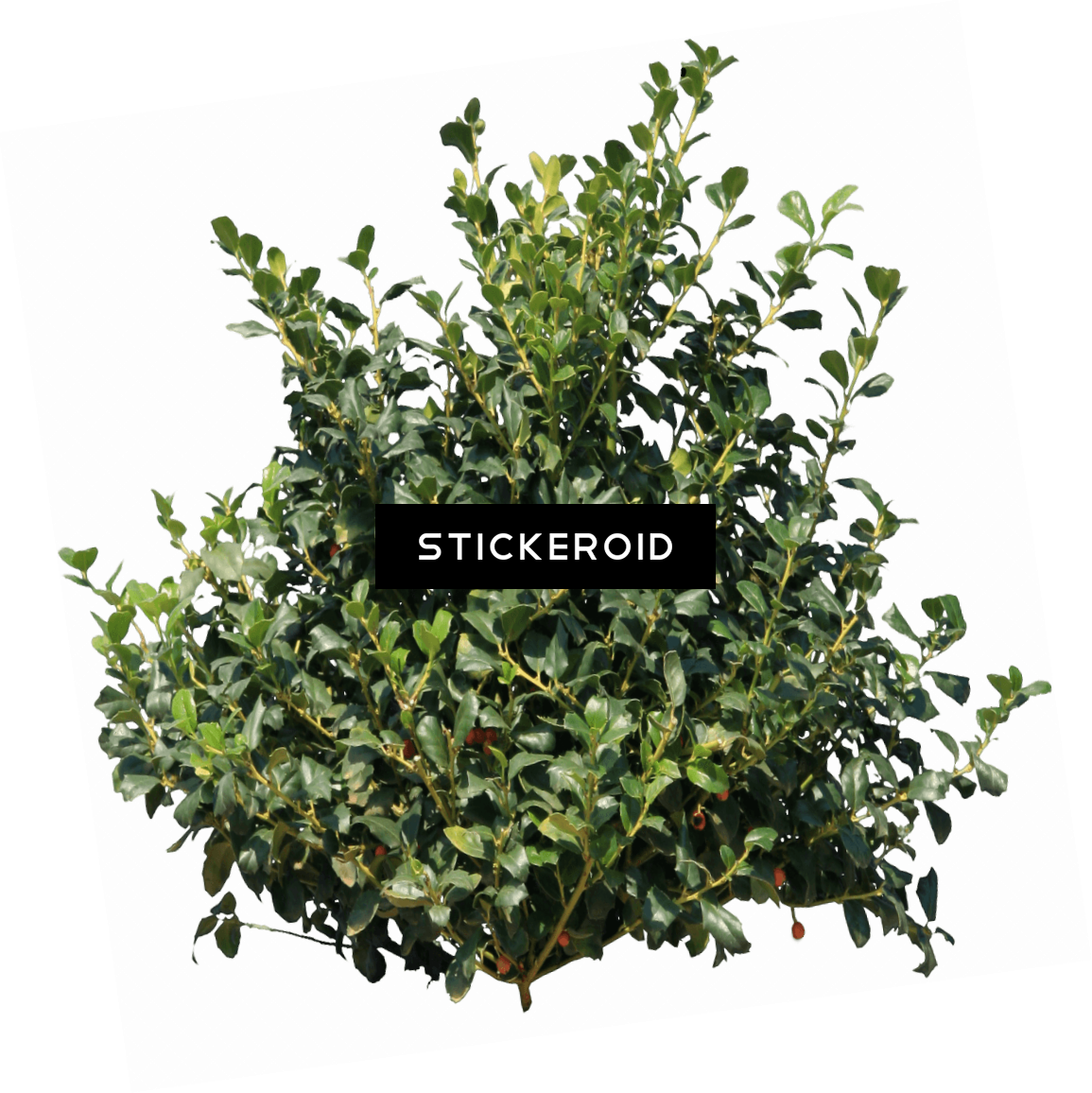 Lebron James Red - Transparent Bush Png Clipart (1155x1156), Png Download