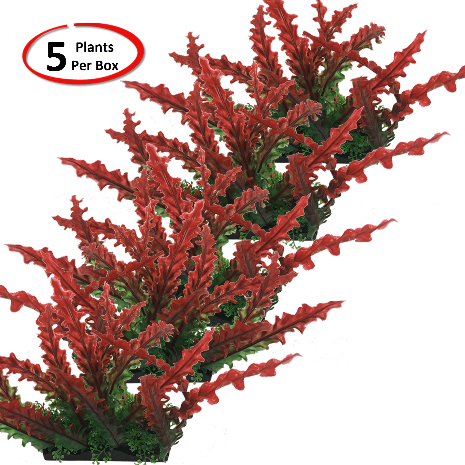 View Larger - Houseplant Clipart (1500x1500), Png Download