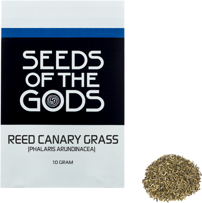 Reed Canary Grass - Psychotria Viridis Clipart (822x822), Png Download