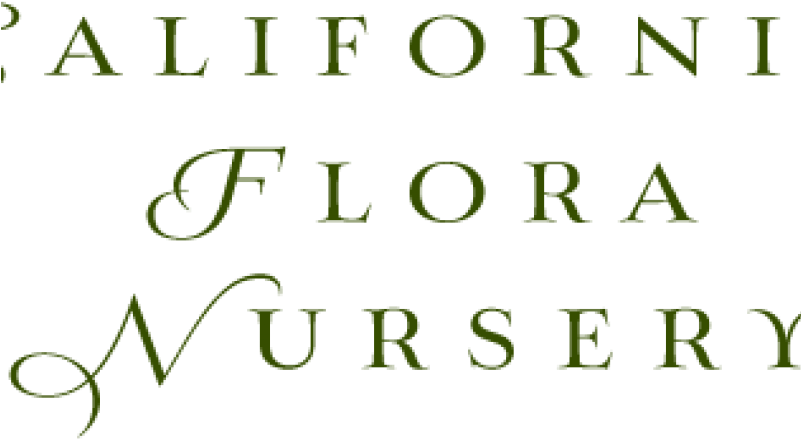 California Flora Nursery, Fulton, Ca - Boys State Clipart (800x500), Png Download