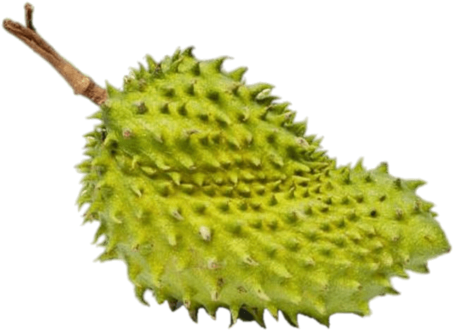 Download - Soursop Clipart (700x525), Png Download