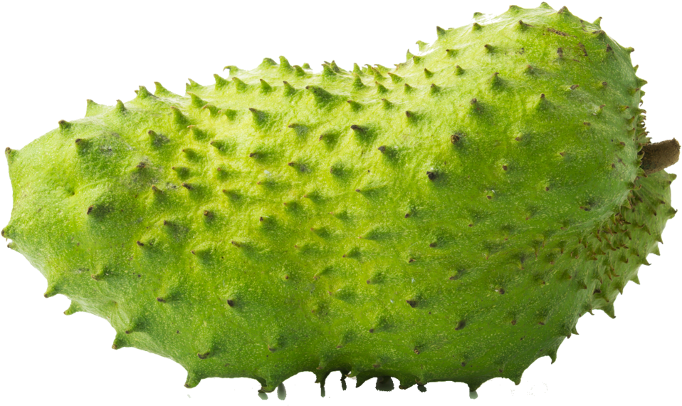 Soursop Png Clipart (1200x605), Png Download