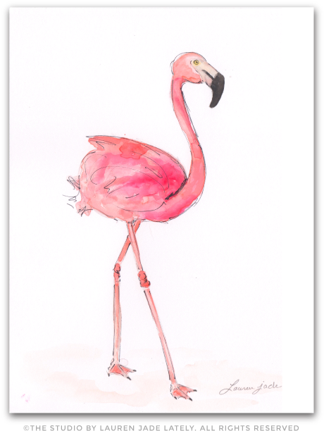 Flamingo Watercolor Illustration The Studio By Lauren - Greater Flamingo Clipart (492x654), Png Download