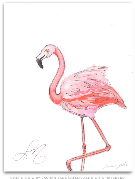 Flamingo No - Three - Greater Flamingo Clipart (492x654), Png Download