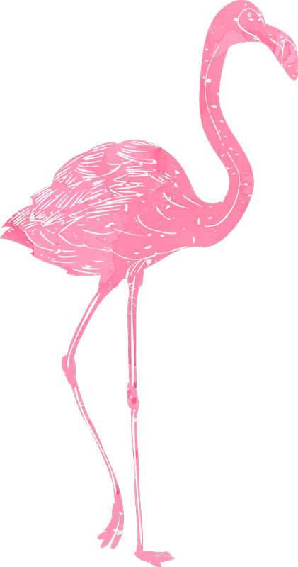 Watercolour Flamingo Wall Sticker - Vinilos De Flamencos Png Clipart (421x800), Png Download