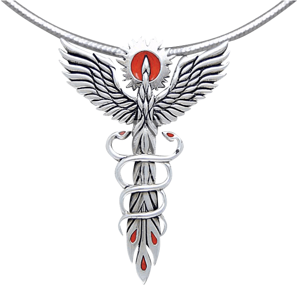 Medical Symbol With Phoenix Clipart (624x624), Png Download