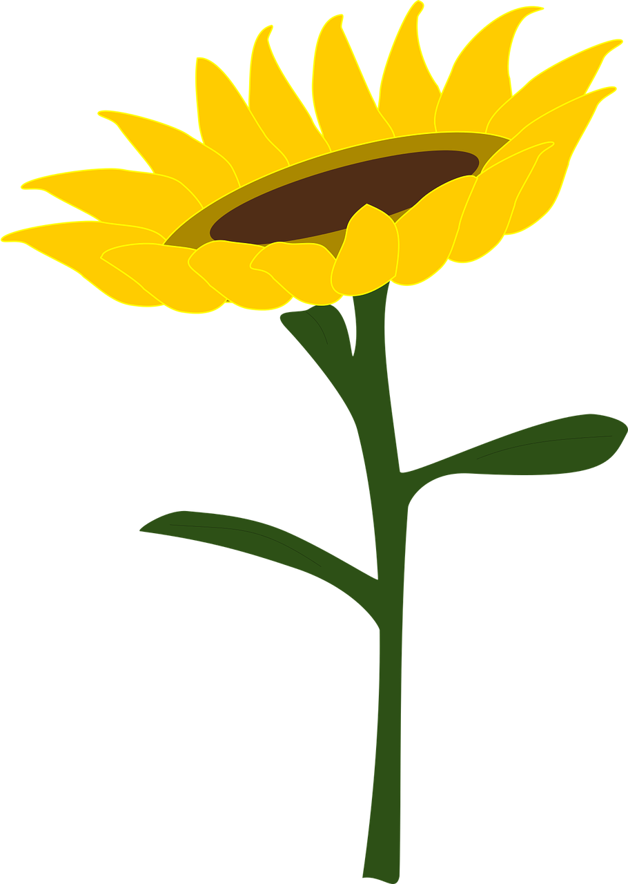 Free Free 170 Half Sunflower Svg Png SVG PNG EPS DXF File