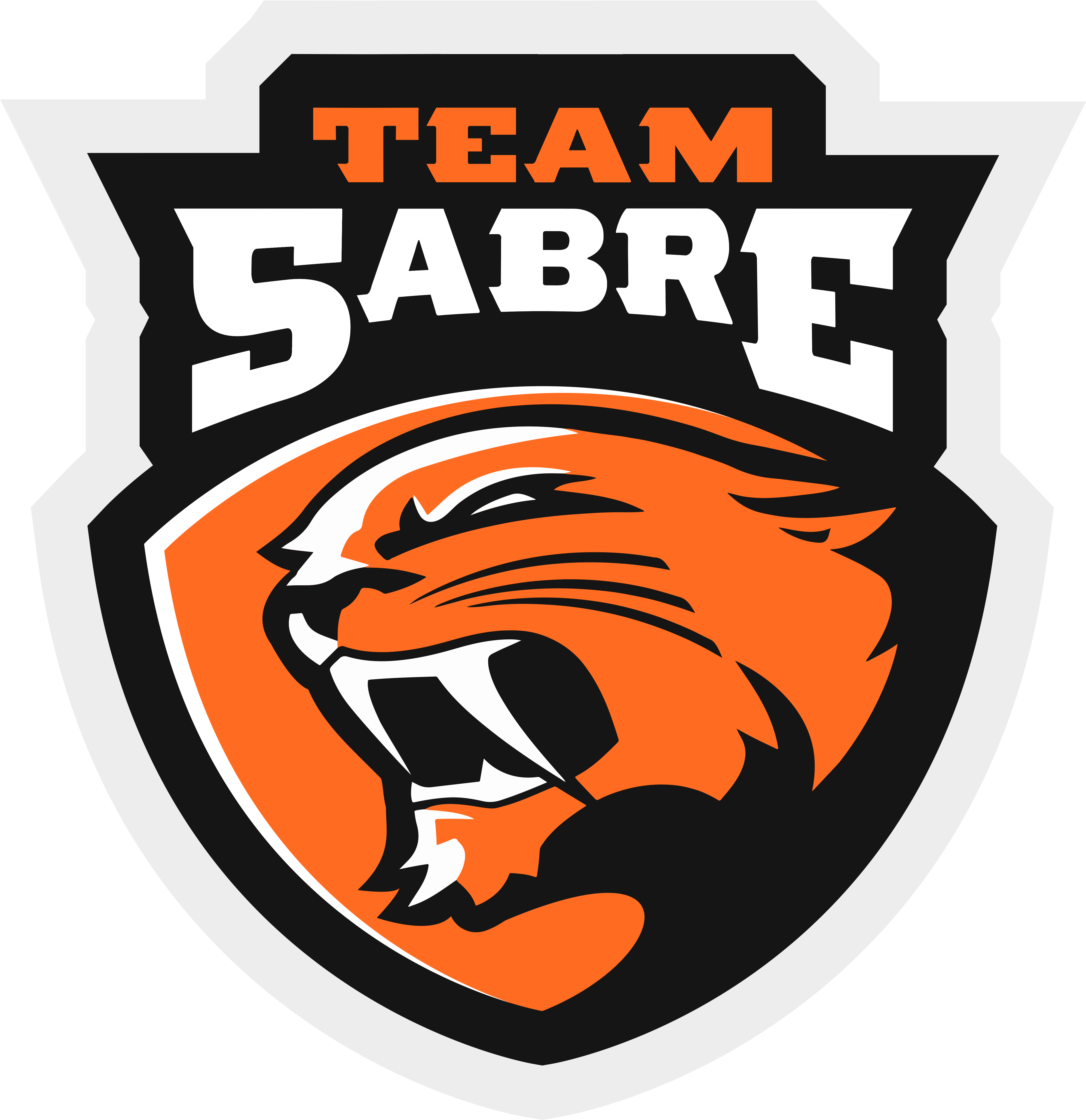Team Sabre Logo Transparent - Poster Clipart (5000x5000), Png Download