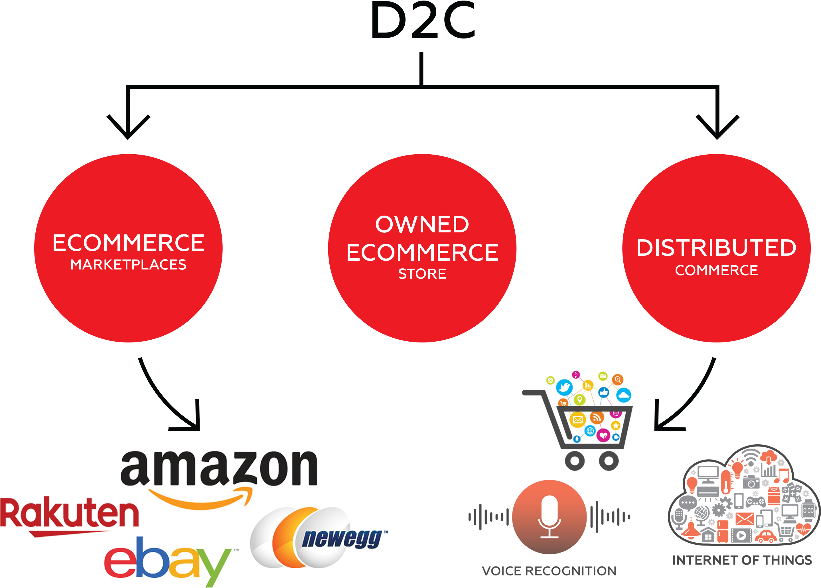 Determine What Brands, Products And Skus To Deploy - Amazon Clipart (3388x2144), Png Download