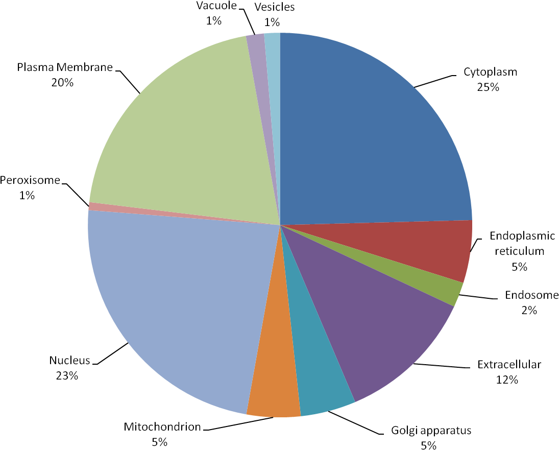 Statistics - - Overbooking Flights Statistics Clipart (1164x914), Png Download