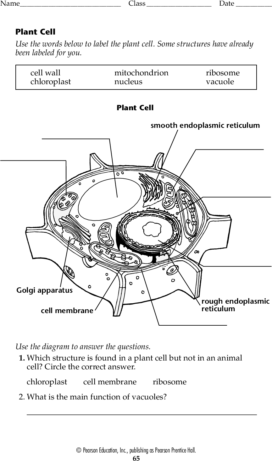 Blank Plant Cell Worksheet Form Fillable Pdf Template - Circle Clipart (1188x1548), Png Download