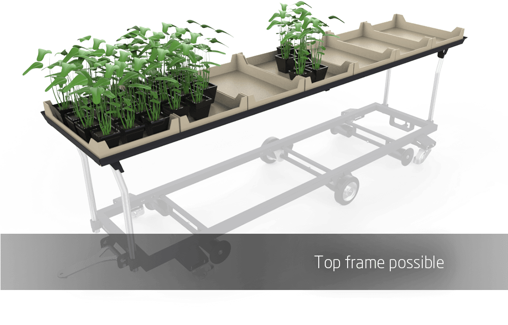 Houseplant Clipart (1000x732), Png Download